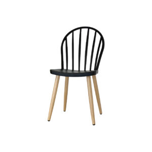 Silla Plástica Salomé Negro