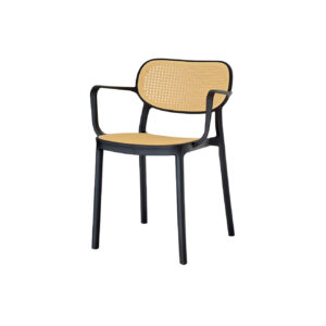 Silla Plástica Adriana Negro