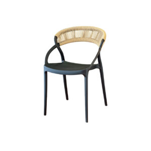 Silla Plástica Adahia Negro