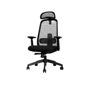 Silla de Oficina Orion Negro