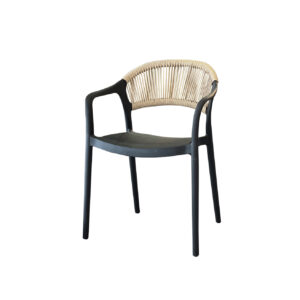 Silla Plástica Emmy Negro