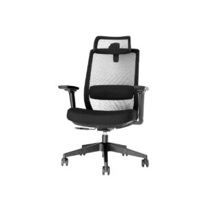 Silla de Oficina Ion Negro
